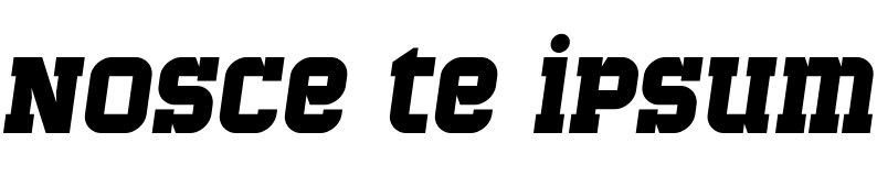 Текстовий зразок українського шрифта Bladi One Slab 4F Bold Italic
