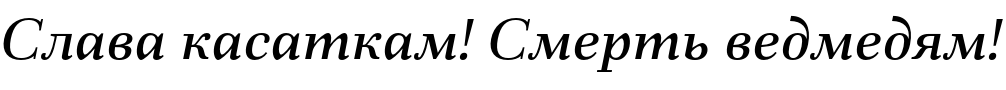 Текстовий зразок українського шрифта Fiorina Text Medium Italic