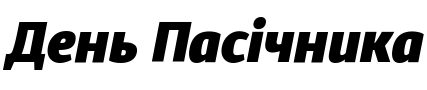 Текстовий зразок українського шрифта Diaria Sans Pro Black Italic